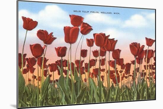 Tulip Fields, Holland, Michigan-null-Mounted Art Print