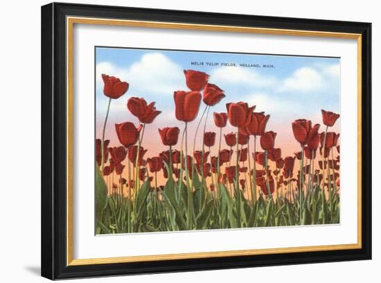 Tulip Fields, Holland, Michigan-null-Framed Art Print