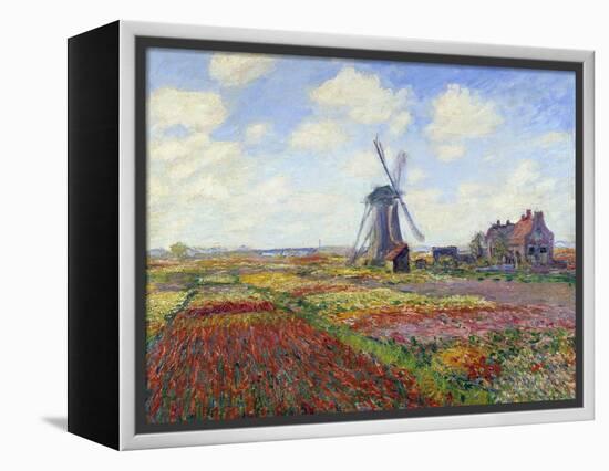 Tulip Fields in Holland by Claude Monet-null-Framed Premier Image Canvas