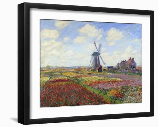 Tulip Fields in Holland by Claude Monet-null-Framed Giclee Print