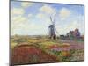 Tulip Fields in Holland by Claude Monet-null-Mounted Giclee Print