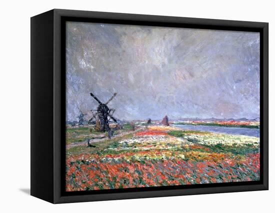Tulip Fields Near Leiden, 1886-Claude Monet-Framed Premier Image Canvas
