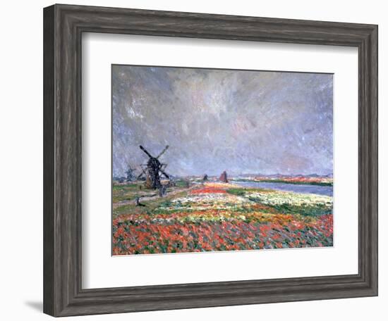 Tulip Fields Near Leiden, 1886-Claude Monet-Framed Giclee Print