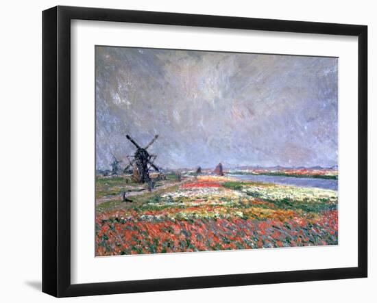 Tulip Fields Near Leiden, 1886-Claude Monet-Framed Giclee Print