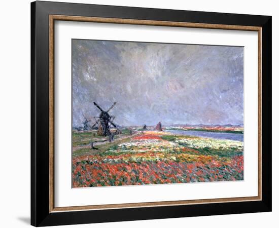 Tulip Fields Near Leiden, 1886-Claude Monet-Framed Giclee Print