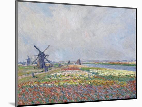 Tulip Fields near the Hague Par Monet, Claude (1840-1926). Oil on Canvas, Size : 66X81,5, 1886, Van-Claude Monet-Mounted Giclee Print