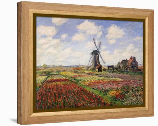 Tulip Fields with the Rijnsburg Windmill, 1886-Claude Monet-Framed Premier Image Canvas