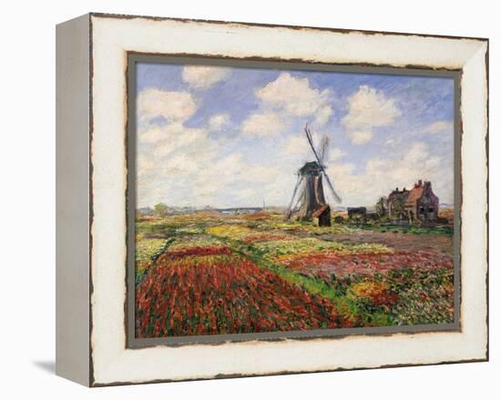 Tulip Fields with the Rijnsburg Windmill, 1886-Claude Monet-Framed Premier Image Canvas