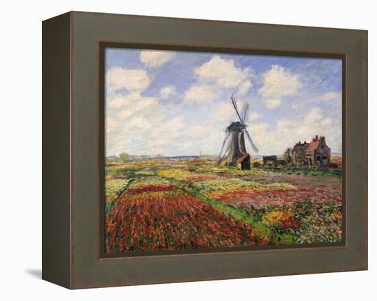 Tulip Fields with the Rijnsburg Windmill, 1886-Claude Monet-Framed Premier Image Canvas