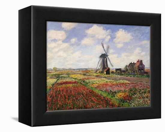 Tulip Fields with the Rijnsburg Windmill, 1886-Claude Monet-Framed Premier Image Canvas