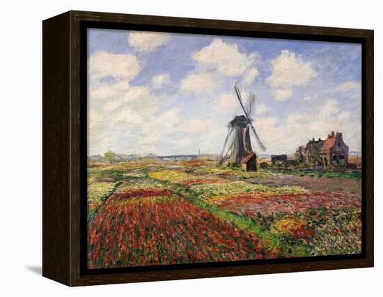 Tulip Fields with the Rijnsburg Windmill, 1886-Claude Monet-Framed Premier Image Canvas