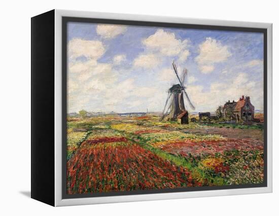 Tulip Fields with the Rijnsburg Windmill, 1886-Claude Monet-Framed Premier Image Canvas