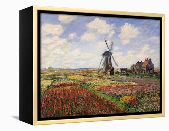 Tulip Fields with the Rijnsburg Windmill, 1886-Claude Monet-Framed Premier Image Canvas