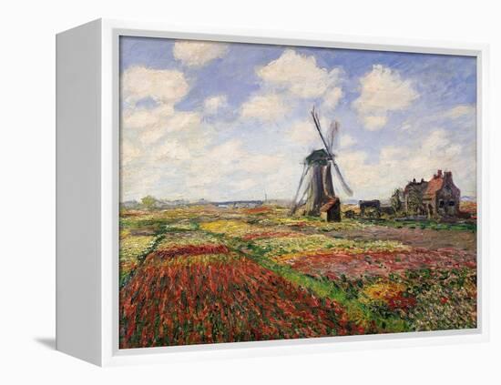 Tulip Fields with the Rijnsburg Windmill, 1886-Claude Monet-Framed Premier Image Canvas