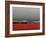 Tulip Fields-Howard Ruby-Framed Photographic Print