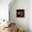 Tulip Flame-Magda Indigo-Framed Premier Image Canvas displayed on a wall