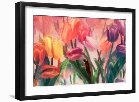 Tulip Flamenco-Mindy Sommers-Framed Giclee Print
