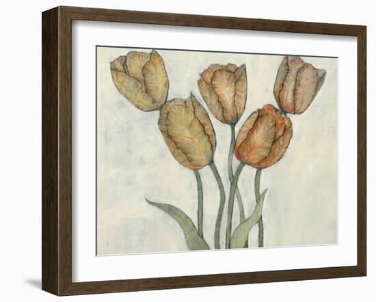 Tulip Floral Study II-Tim O'Toole-Framed Art Print