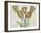 Tulip Floral Study II-Tim O'Toole-Framed Art Print