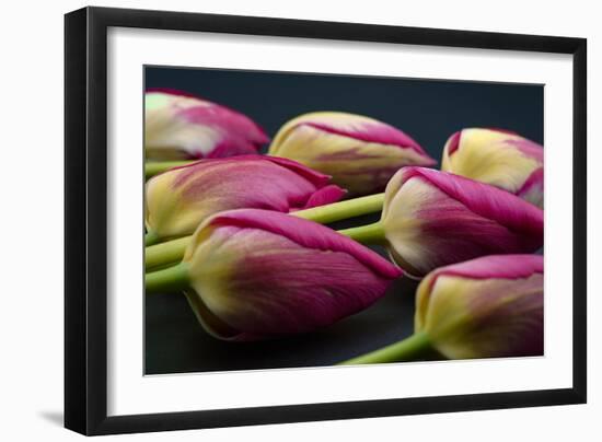Tulip Flower - Macro Photo-Daniil Belyay-Framed Photographic Print