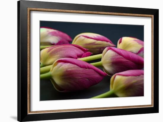 Tulip Flower - Macro Photo-Daniil Belyay-Framed Photographic Print