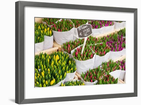 Tulip Flowers from Holland for Sale , Amsterdam Floral Market.-neirfy-Framed Photographic Print