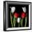 Tulip Frazzle-Magda Indigo-Framed Photographic Print