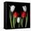 Tulip Frazzle-Magda Indigo-Framed Premier Image Canvas