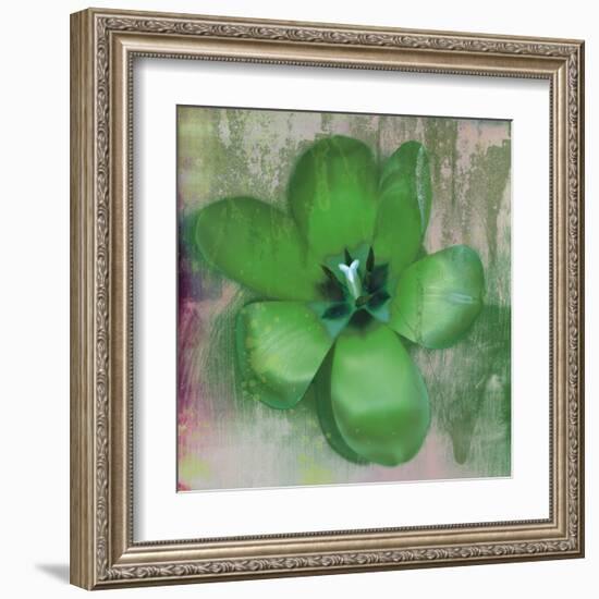 Tulip Fresco (green)-Erin Clark-Framed Art Print