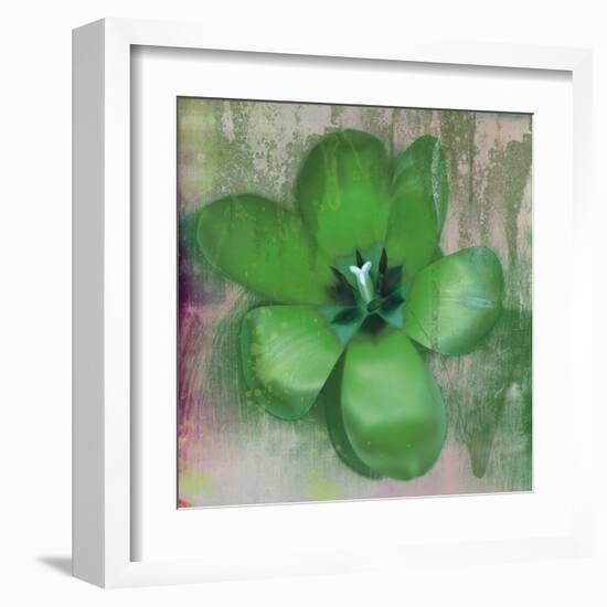 Tulip Fresco (green)-Erin Clark-Framed Art Print