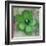 Tulip Fresco (green)-Erin Clark-Framed Art Print