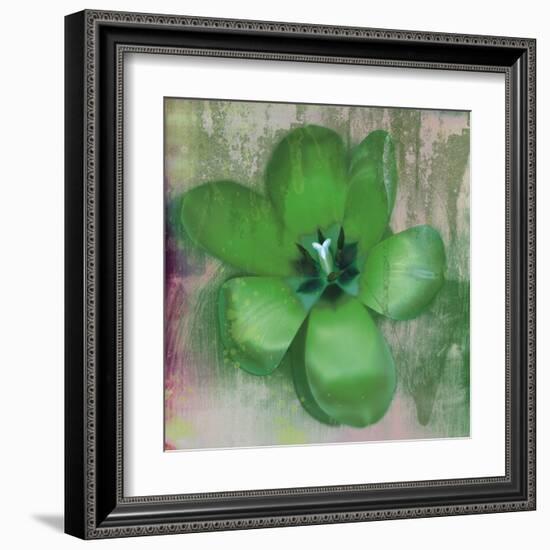 Tulip Fresco (green)-Erin Clark-Framed Art Print