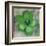 Tulip Fresco (green)-Erin Clark-Framed Art Print