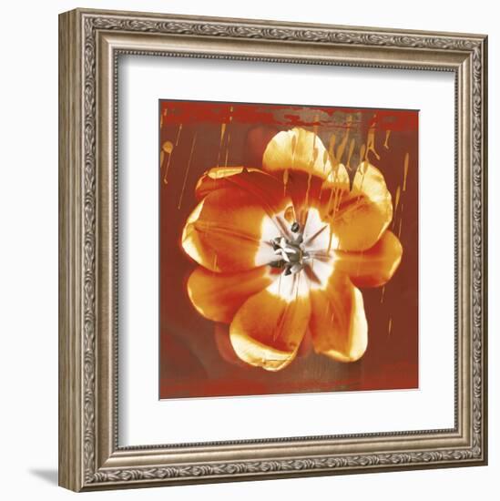 Tulip Fresco (red)-Erin Clark-Framed Art Print