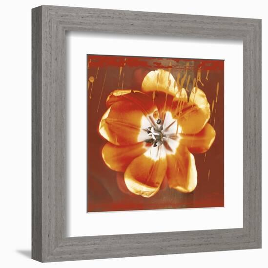 Tulip Fresco (red)-Erin Clark-Framed Art Print