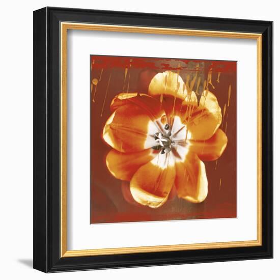 Tulip Fresco (red)-Erin Clark-Framed Art Print