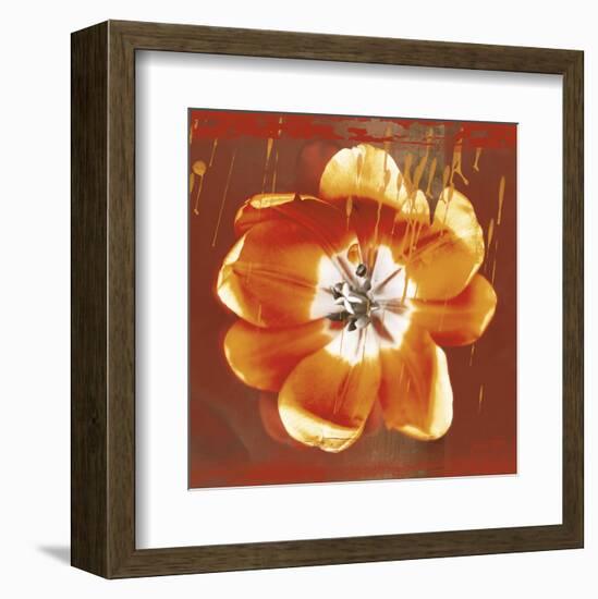 Tulip Fresco (red)-Erin Clark-Framed Art Print