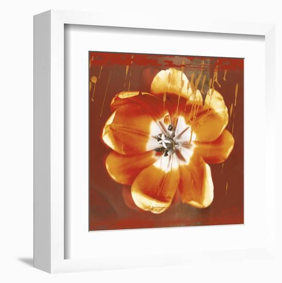 Tulip Fresco (red)-Erin Clark-Framed Art Print