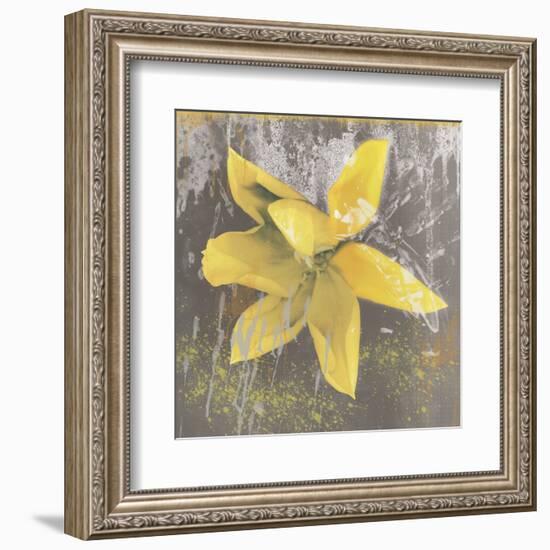 Tulip Fresco (yellow)-Erin Clark-Framed Art Print