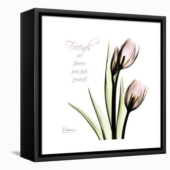 Tulip Friends-Albert Koetsier-Framed Stretched Canvas