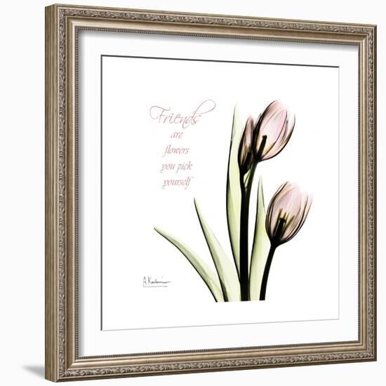 Tulip Friends-Albert Koetsier-Framed Premium Giclee Print