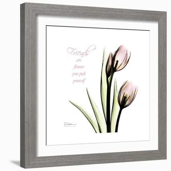 Tulip Friends-Albert Koetsier-Framed Premium Giclee Print