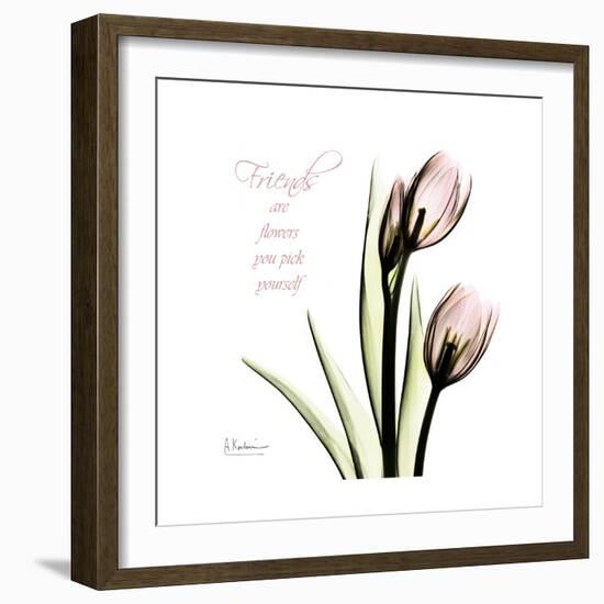 Tulip Friends-Albert Koetsier-Framed Premium Giclee Print