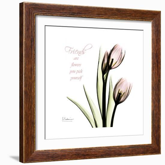 Tulip Friends-Albert Koetsier-Framed Premium Giclee Print