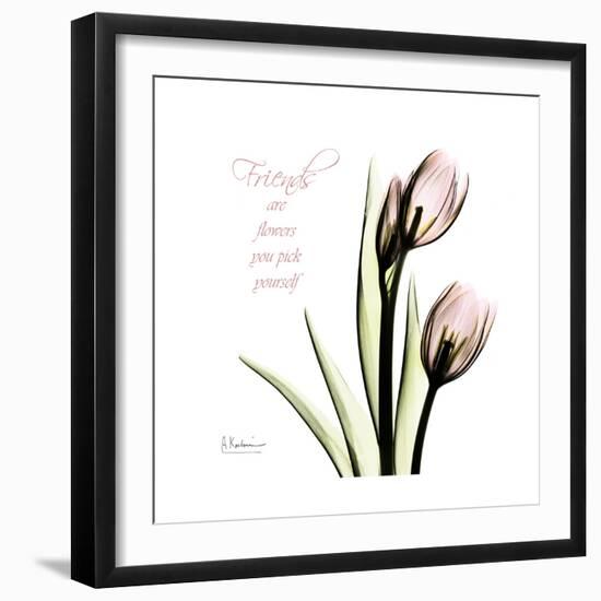 Tulip Friends-Albert Koetsier-Framed Premium Giclee Print