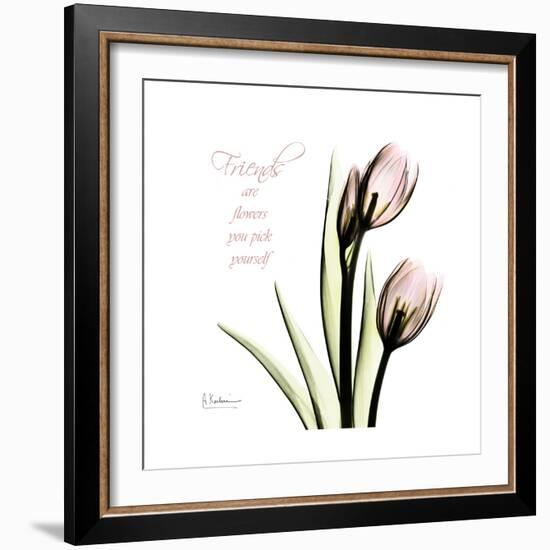 Tulip Friends-Albert Koetsier-Framed Premium Giclee Print