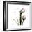 Tulip Friends-Albert Koetsier-Framed Premium Giclee Print