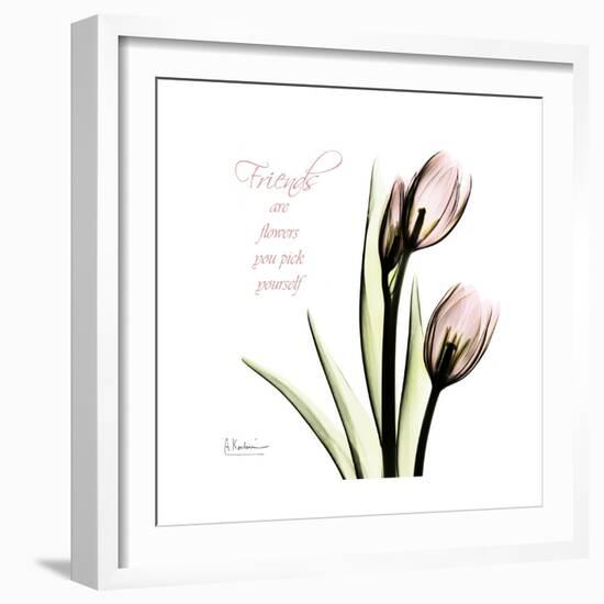 Tulip Friends-Albert Koetsier-Framed Premium Giclee Print