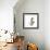 Tulip Friends-Albert Koetsier-Framed Premium Giclee Print displayed on a wall