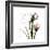 Tulip Friends-Albert Koetsier-Framed Premium Giclee Print